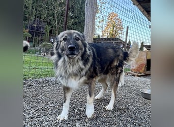 Daisy eine unglaublich liebe Seele