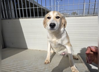 Buffy: ein Schatz für "Überall mit dabei"