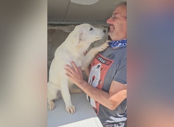 Lars: ihn muss man lieb haben