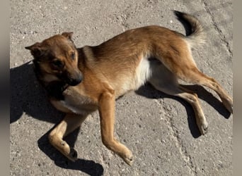 CHIARA❤️charmant, sozial, offenherzig und sucht dringend ihr Für-Immer-Nest