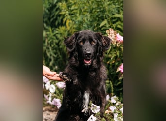 Fröhlicher Willy sucht seine Familie