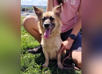 KIKA 2 soll es endlich schön haben