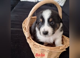 Sie sind endlich da 4 Mädels und 5 Jungs