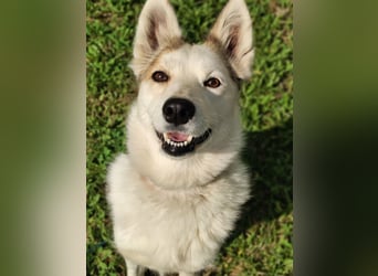 Hallo, ich bin Bella!