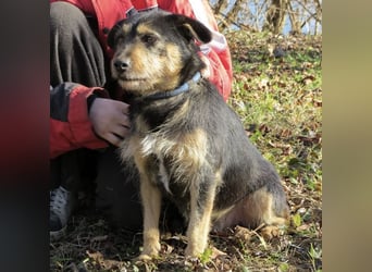 Bobek- ein Schatz zum lieb haben