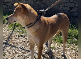 Zara ❤️ will endlich Liebe+Nähe spüren
