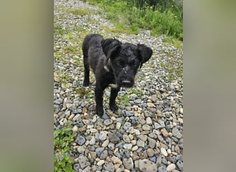 Eléa – Kleine Entdeckerin mit großem Herz sucht Zuhause