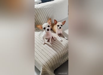 Süßes Mutter Tochter Duo sucht liebevollen Platz