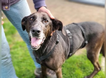 Dolly, geboren 30.12.2015, 60cm sucht ihr Zuhause (auf Pflegestelle in Deutschland)