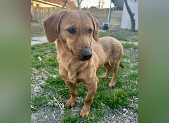 Inez, 22.01.2024 geboren sucht ihr Glück