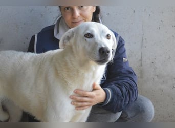 Dafnielle - Zukunft gesucht