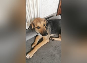 Sportliche Kikki ist in der Südpfalz zu besuchen
