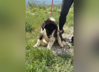 Clooney sucht sein großes Glück