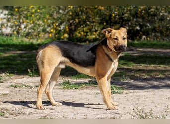 ❤️COMINO❤️