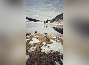 Marly - die kleine Maus