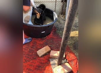 MAILA, sucht Menschen mit Herz (mit Videos!)