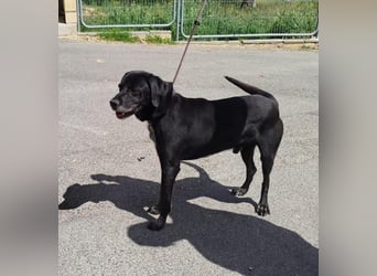 ❤️BLACKY❤️
