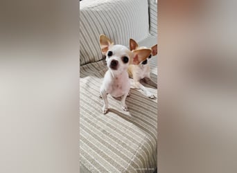 Süßes Mutter Tochter Duo sucht liebevollen Platz