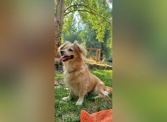 Luna, hofft auf ihre 2. Chance