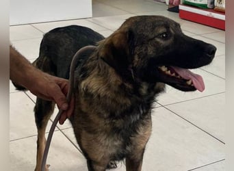 Saga ❤️ super lieb & menschenbezogen!