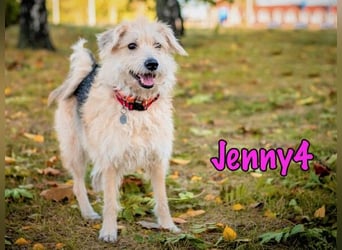 Jenny4 geb. 01/2018 - bezaubernde und super liebe, kleine Wuschelhündin!