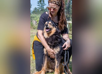 Big - ein feiner Kerl