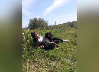 Emy: „Jetzt muß es um mich gehen!“