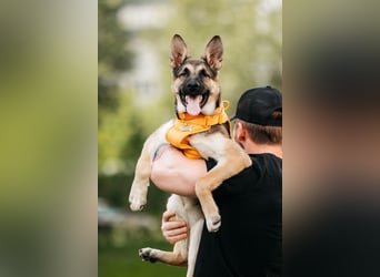 Besondere Deya sucht warmes Körbchen