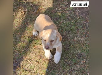 Krümel freut sich auf Deinen Besuch