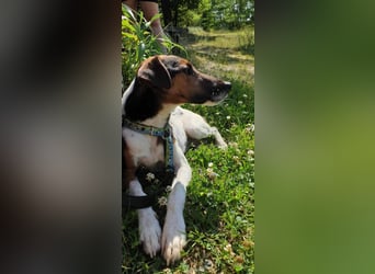 Maxy von kettenlos