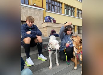 Schüchterner Lucas sucht einfühlsame Familie