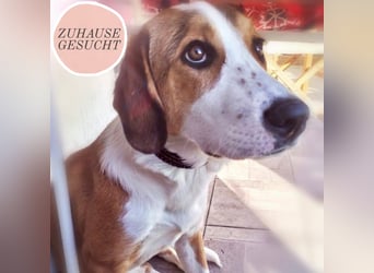 Strawberry sucht ihr Glück ❤️