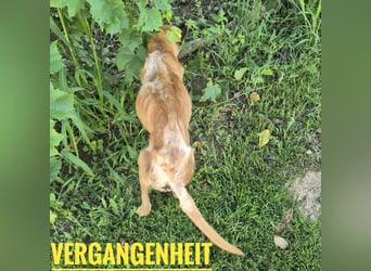 Zeki - hat Hölle hinter sich gelassen