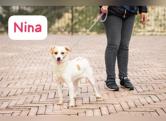 Nina: „Ich packe in mein Köfferchen……...“