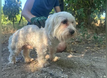 Casper, geboren 06.12.2023, 24cm sucht seine Menschen