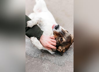 Besondere Agatha sucht ihre Menschen