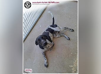 Handicap Fellnasse Lenny sucht ein Zuhause für immer