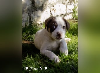 Felix und seine Geschwister suchen ein Zuhause