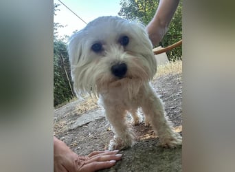 Casper, geboren 06.12.2023, 24cm sucht seine Menschen