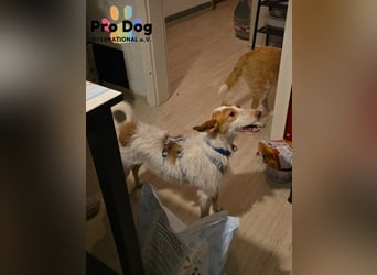 Lilo, einfach zum verlieben