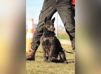 Ninja-PP, unsicherer Schönling sucht sicheren Hafen!