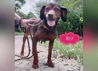 Missy braucht Liebe