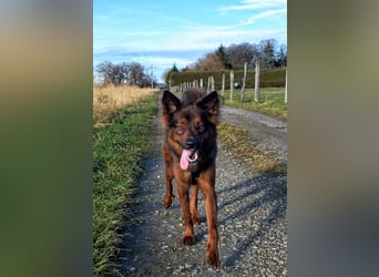 Schöner Emil ( * 03 / 2021 ) sucht seine Familie