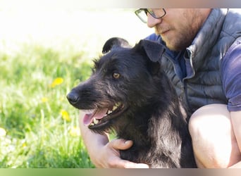 Pluto – Ein waschechter Spielgefährte!