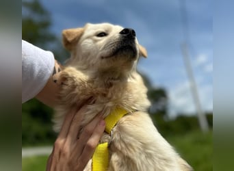Ängstliche wunderhübsche Cindy