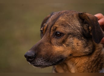Mimi: Mit einem Lächeln ins Glück