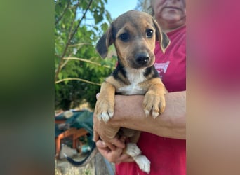 Patricia, geboren 10.04.2025, 22cm sucht ihr Zuhause