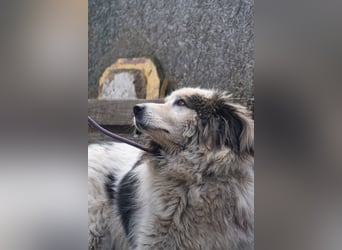 Hero: Braucht einen Superhelden