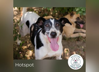 Hotspot: Ein Herz voller Hoffnung