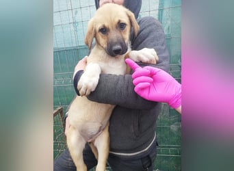 Abby,  möchte mit Dir Neues entdecken
